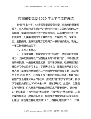 市国资委党委2025年上半年工作总结