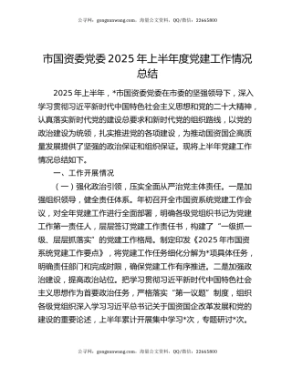 市国资委党委2025年上半年度党建工作情况总结