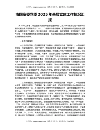 市国资委党委2025年基层党建工作情况汇报