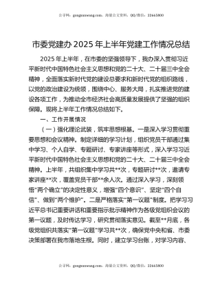 市委党建办2025年上半年党建工作情况总结
