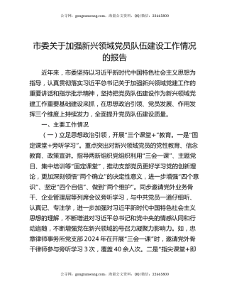 市委关于加强新兴领域党员队伍建设工作情况的报告