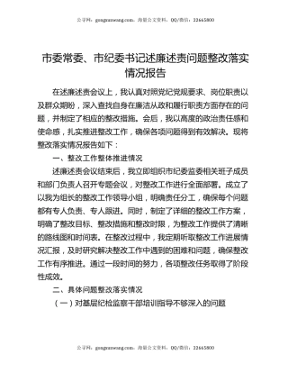 市委常委、市纪委书记述廉述责问题整改落实情况报告