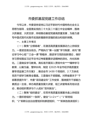 市委抓基层党建工作总结