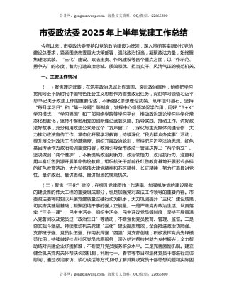 市委政法委2025年上半年党建工作总结