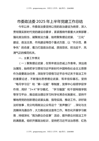 市委政法委2025年上半年党建工作总结（2）