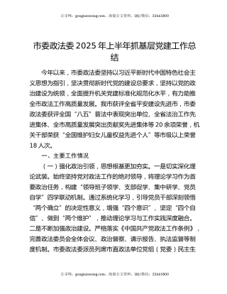 市委政法委2025年上半年抓基层党建工作总结