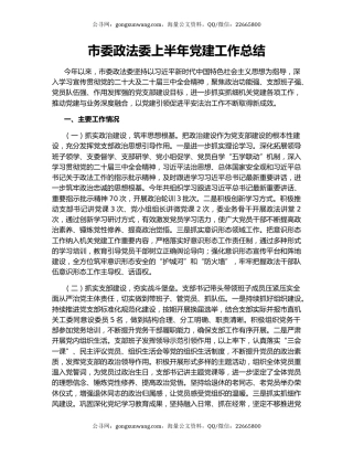 市委政法委上半年党建工作总结