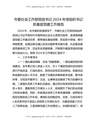 市委社会工作部党组书记2024年党组织书记抓基层党建工作报告