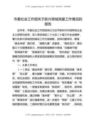 市委社会工作部关于新兴领域党建工作情况的报告