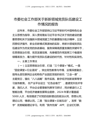 市委社会工作部关于新新领域党员队伍建设工作情况的报告