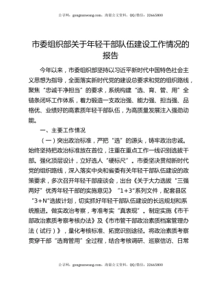 市委组织部关于年轻干部队伍建设工作情况的报告