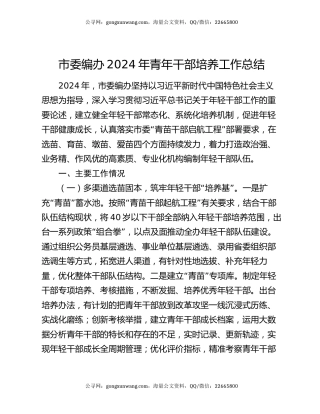 市委编办2024年青年干部培养工作总结
