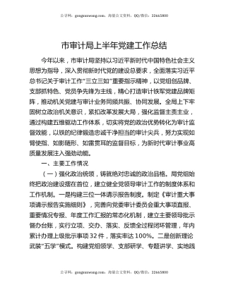 市审计局上半年党建工作总结