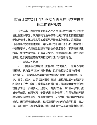 市审计局党组上半年落实全面从严治党主体责任工作情况报告