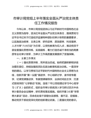 市审计局党组上半年落实全面从严治党主体责任工作情况报告（2）