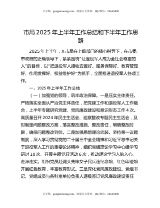 市局2025年上半年工作总结和下半年工作思路