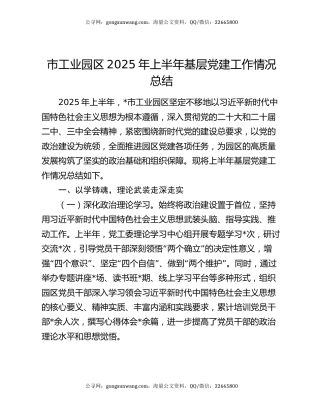 市工业园区2025年上半年基层党建工作情况总结