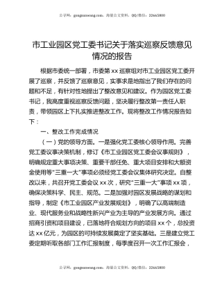 市工业园区党工委书记关于落实巡察反馈意见情况的报告