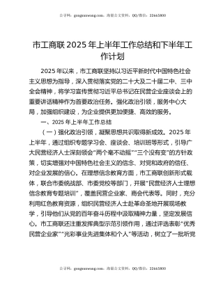 市工商联2025年上半年工作总结和下半年工作计划