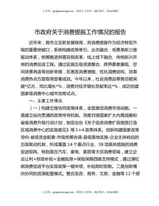 市政府关于消费提振工作情况的报告