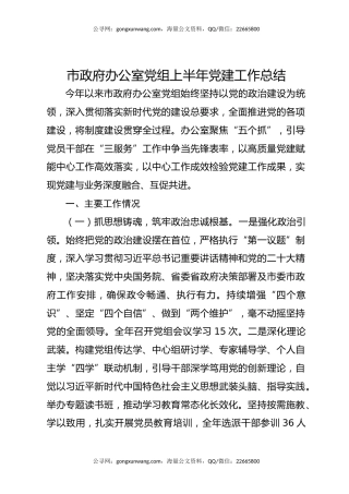 市政府办公室党组上半年党建工作总结