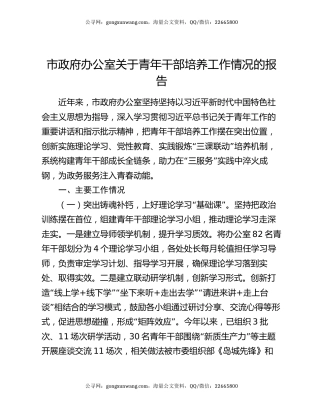 市政府办公室关于青年干部培养工作情况的报告