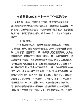 市政数局2025年上半年工作情况总结