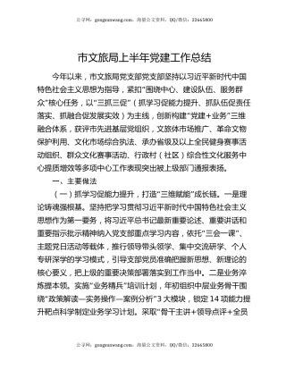 市文旅局上半年党建工作总结