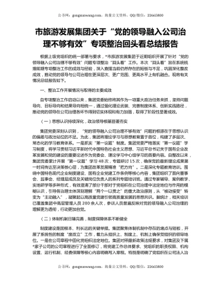 市旅游发展集团关于“党的领导融入公司治理不够有效”专项整治回头看总结报告
