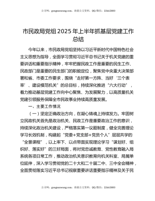 市民政局党组2025年上半年抓基层党建工作总结