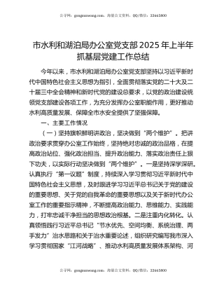 市水利和湖泊局办公室党支部2025年上半年抓基层党建工作总结