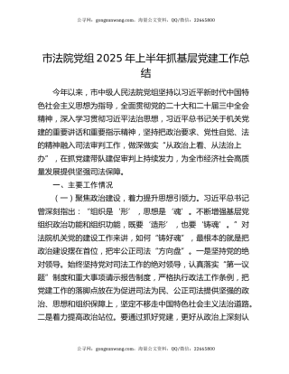 市法院党组2025年上半年抓基层党建工作总结