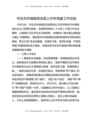 市生态环境局党支部上半年党建工作总结