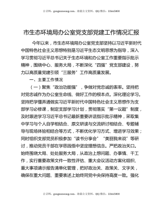 市生态环境局办公室党支部党建工作情况汇报