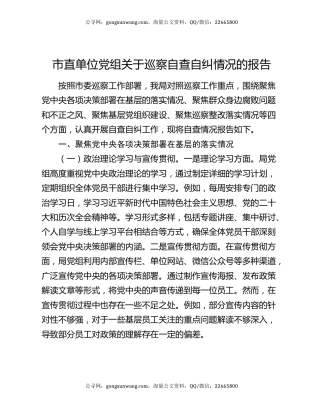 市直单位党组关于巡察自查自纠情况的报告