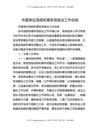 市直单位违规吃喝专项政治工作总结