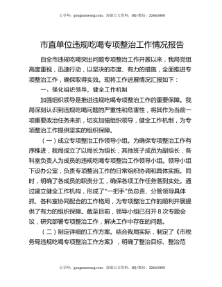 市直单位违规吃喝专项整治工作情况报告