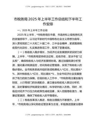 市税务局2025年上半年工作总结和下半年工作安排