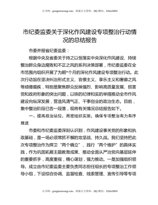 市纪委监委关于深化作风建设专项整治行动情况的总结报告