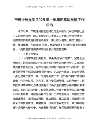 市统计局党组2025年上半年抓基层党建工作总结