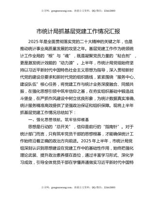 市统计局抓基层党建工作情况汇报