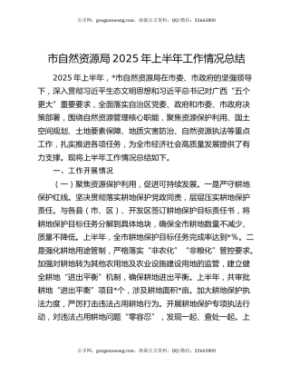市自然资源局2025年上半年工作情况总结