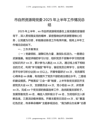 市自然资源局党委2025年上半年工作情况总结