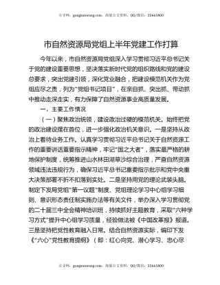 市自然资源局党组上半年党建工作打算