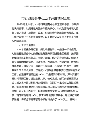 市行政服务中心工作开展情况汇报