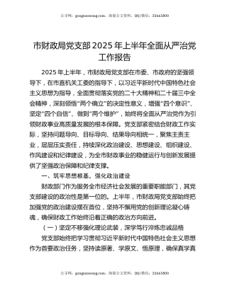 市财政局党支部2025年上半年全面从严治党工作报告