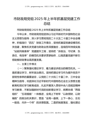 市财政局党组2025年上半年抓基层党建工作总结