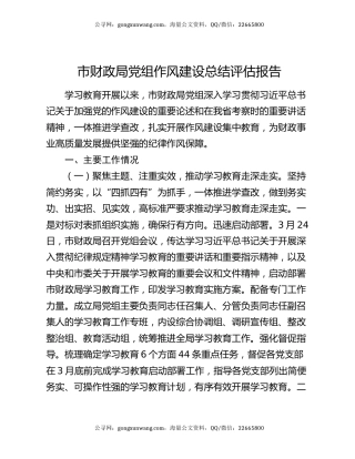 市财政局党组作风建设总结评估报告