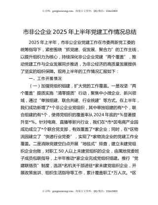 市非公企业2025年上半年党建工作情况总结
