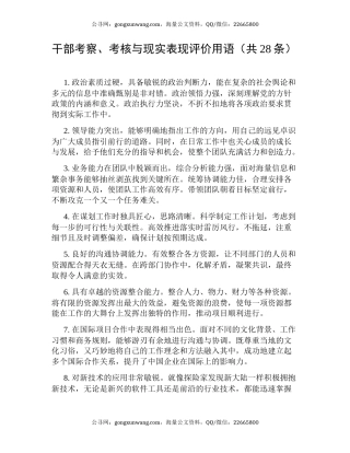 干部考察、考核与现实表现评价用语（共28条）